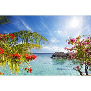 RT San Francisco to Tahiti French Polynesia $587 Nonstop Airfares on Air Caraibes and/or French Bee Basic (Travel June; August-February 2025) $600