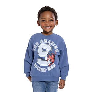 Toddler Graphic Crewneck Sweatshirt with Long Sleeves (various) $3.99