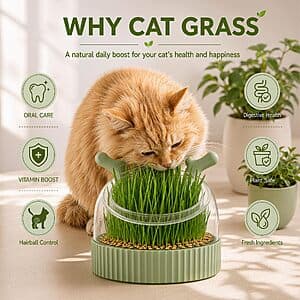 3-in-1 Cat Grass Slow Feeder Bowl $12.50