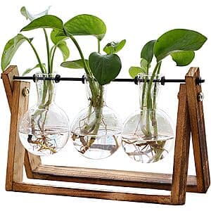 XXXFLOWER 3 Bulb Vase Plant Terrarium w/ Wooden Stand $9.90 & More