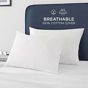 2-Pk Great Sleep Down Alternative Cotton Sateen Covered Pillows (Standard/Queen) $24.25