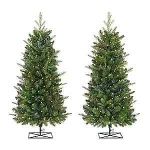2-Pack 3' Home Decorators Collection Balsam Fir LED Pre-Lit Artificial Trees $25 + Free Shipping