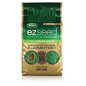 10-pound bag of Scotts EZ Seed Patch & Repair Tall Fescue lawn mix with product branding and packaging.