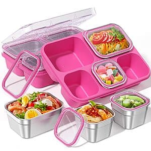BiuLeon Snackle Bento Box w/ 5 Stainless Steel Compartments (Pink) $16