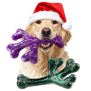 Prime Members: 2-Pack Frienhund Aggressive Chewers Dog Chew Toys $5 + Free Shipping