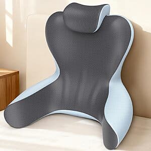 22" Hamyodo H Back Support Pillow w/ Removeable Cervical Support Pillow $21.40 + Free S&H
