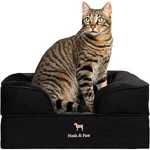 Noah & Paw Orthopedic Pet Bed w/ Eggshell Memory Foam & Cooling Gel (various) from $32.40 + Free S&H