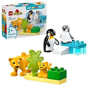 LEGO DUPLO Town Wild Animal Families building set with colorful brick pieces and penguin and lion figures for toddlers.