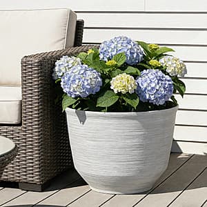 Select Costco Stores: 22.1" Round Resin Planter (2 colors) $12 (In-Store Only)