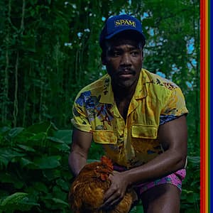 Vinyl Sale: Childish Gambino, Lana Del Rey, Twenty One Pilots, Taylor Swift from $10 & More + Free S&H