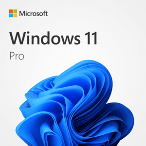 Windows 11 Pro Lifetime Activation Key (Digital Download) $8