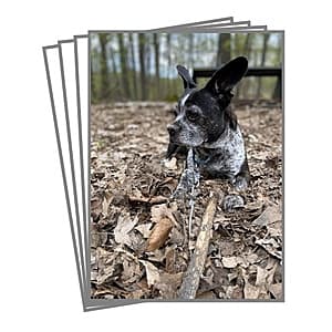 Walgreens Photo: 2-Count 5"x7" Glossy Photo Prints Free + Free Same-Day Store Pickup