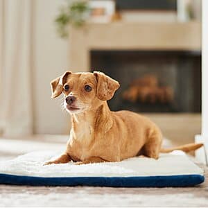 24" Frisco Self-Warming Reversible Cat & Dog Mat (Blue) $7.10 + Free S/H on $49+