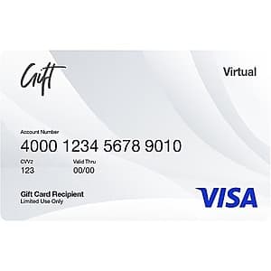 $200 Visa Virtual eGift Card (Email Delivery) $199.05