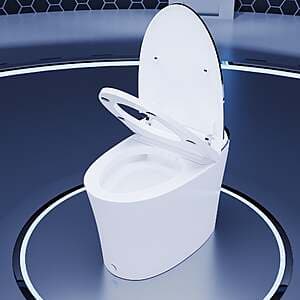 DeerValley One-Piece 1.28 GPF Elongated Smart Bidet Toilet $494 + Free S&H