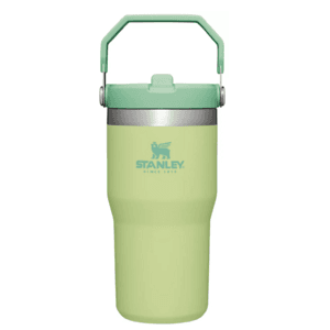 20-Oz Stanley IceFlow Flip Straw Tumbler with Handle (various) $15
