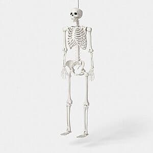 60-inch poseable lifesize skeleton Halloween prop in bone white with articulated joints, packaged for seasonal display.