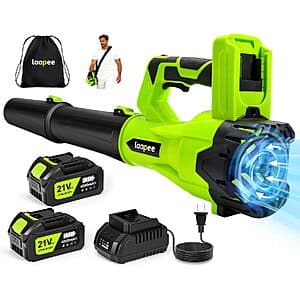 Laapee 650CFM cordless leaf blower in black with two 20V 4.0Ah batteries and fast charger.