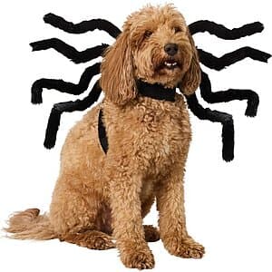 Chewy Pet Supplies/Accessories: $30 Chewy eGift Card Offer: Food, Medicine, Toys Eligible Purchase of $100+ & More + Free S&H