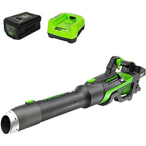 Greenworks 80V 750 CFM Handheld Blower w/ 2.5Ah + 2.0 Ah Batteries & Charger $170 + Free Shipping