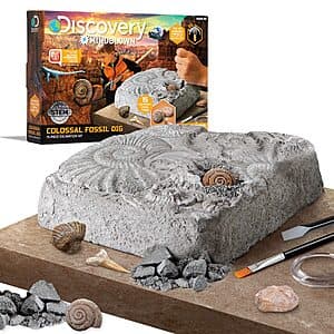 15-Piece Discovery #Mindblown Colossal Fossil Dig Kit w/ Genuine Fossils $8.65