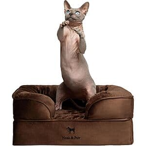 NOAH & PAW 20" x 15" Orthopedic Pet Bed w/ Memory Foam & Bolster (Brown or Green) $28.90