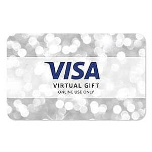$100 Visa Virtual eGift Card (Email Delivery) $100 (Activation Fee Waived)