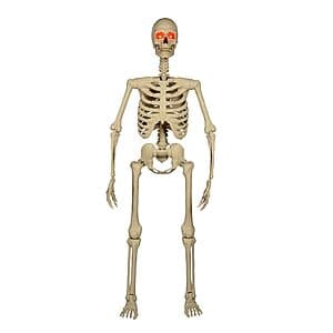 5-foot tall posable skeleton with LED lighting in neutral color, displayed in Halloween decoration style with articulated joints throughout the body.