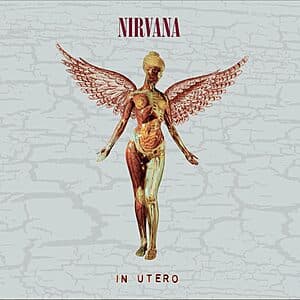 Nirvana: In Utero: 30th Anniversary Deluxe Edition (2-Disc Audio CD) $14