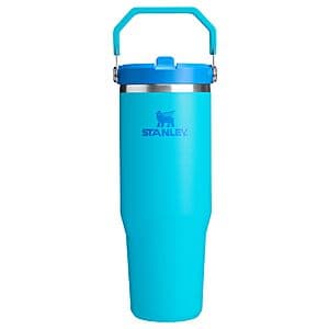 30-Oz Stanley IceFlow 2.0 Flip Straw Tumbler w/ Handle (Splash) $17.50