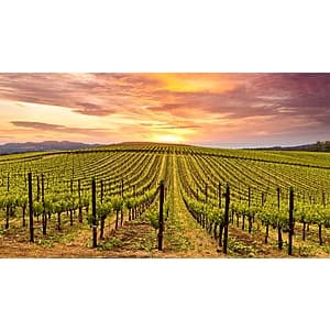Napa Valley Marriott Hotel & Spa: 2+ Nights for 2 + Daily Breakfast & $50 Dining Credit from $499 (Travel thru October)