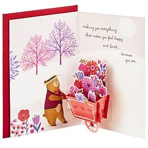 5"x7.25" Hallmark Paper Wonder Pop Up Valentines Day Card (Beary Loved) $4