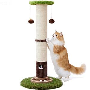 Green Woochpet 34-inch tall cat scratching post with sisal rope wrapping.