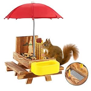 Wooden outdoor squirrel feeder table with picnic table design, including attached water bowl and corn-cob holder, with two side benches.