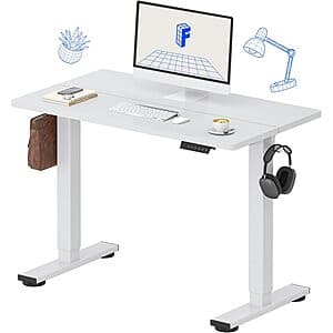 FlexiSpot electric standing desk with black frame and light wood tabletop in raised position.