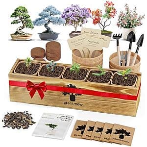Select Accts: PLANTMEW 5 Tree Beginner Bonsai Starter Kit w/ Tools & Seeds $17.25