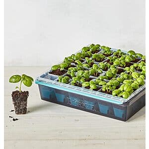 Burpee SuperSeed reusable seed starting tray with 36 individual pop-out cells, designed for starting seedlings.