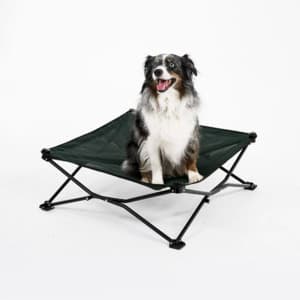 Coolaroo On the Go Foldable Elevated Travel Dog Bed (Medium, up to 75-lbs) $19.75 & More