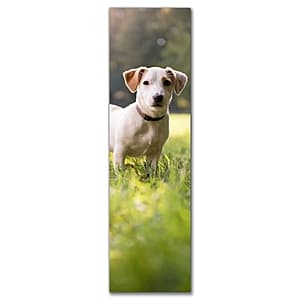 Walgreens Photo: Set of 4 2"x7" Customized Photo Bookmarks (various) Free + Free Store Pickup