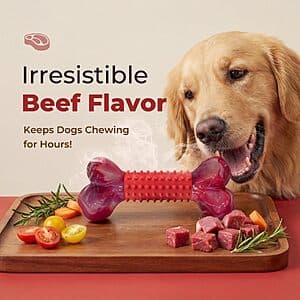 Apasiri Tough Nylon Dog Chew Toy w/ Textured Rubber Center (Red/Beef Flavored) $6
