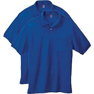 2-ct Hanes Men's EcoSmart Polo Shirts (Deep Royal or White) $11.75
