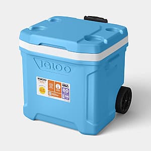 Select Stores: 60-Qt Igloo Sun Squad Latitude Rolling Cooler (Up to 94 Cans) $25 + Free Pickup