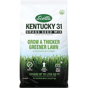 7 lb. bag of Scotts Kentucky 31 Grass Seed Mix with red and green packaging.