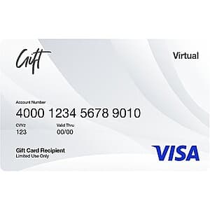 $200 Visa Virtual Gift Card $200 (email delivery)