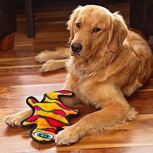 Outward Hound 13.75" Durablez Medium Gecko Squeaky Plush Dog Toy (Orange) $4.20 or Less
