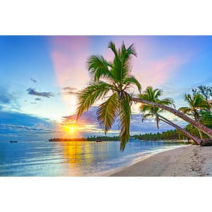 Roundtrip Airfare: New York, NY (JFK) to Punta Cana, Dominican Republic (PUJ) $279 or Less (Travel Limited Dates Feb-March)