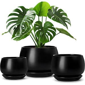 Prime Members: 3-pc vancasso Ceramic Indoor Plant Pots w/ Saucers (various) from $13.30 & More + Free Shipping