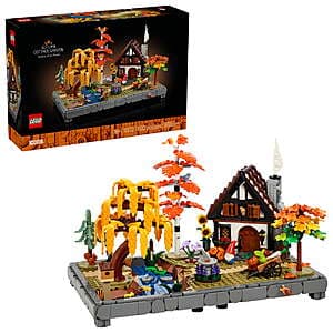 LEGO Ideas set with colorful brick elements and detailed packaging box.