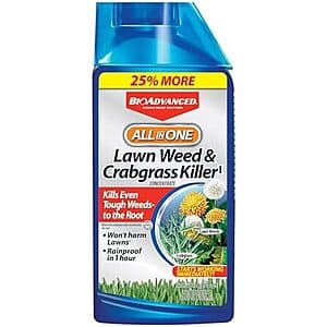 40-oz bottle of BioAdvanced All-In-One Lawn Weed and Crabgrass Killer I concentrate for lawn treatment.