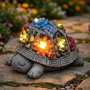 Snclriao solar turtle garden statue with 7 LED lights, featuring succulent planter compartments on the shell, in outdoor garden setting.
